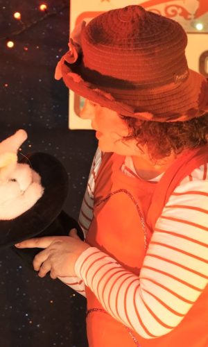 Papillotte et le lapin Papillotte et le lapin